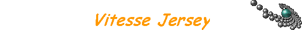 Vitesse Jersey